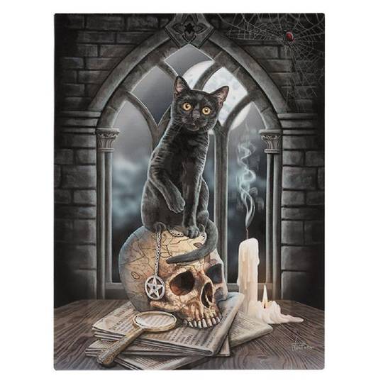 Small Salem Cat Canvas Plaque